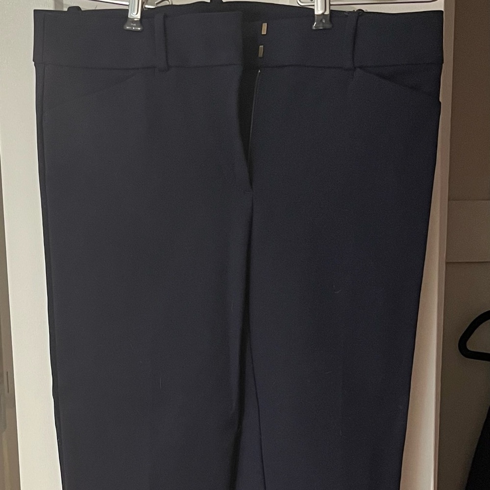 Women’s loft Marisa Skinny ankle pant. Size 2 Tall NWT